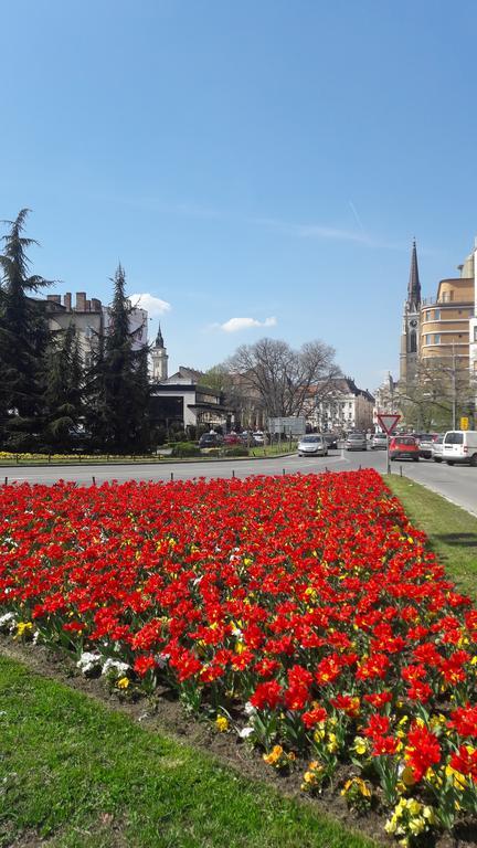 Ars Apartment Novi Sad Exterior foto